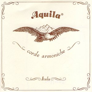 Aquila Bass Viol 5th/G Wound Gut String