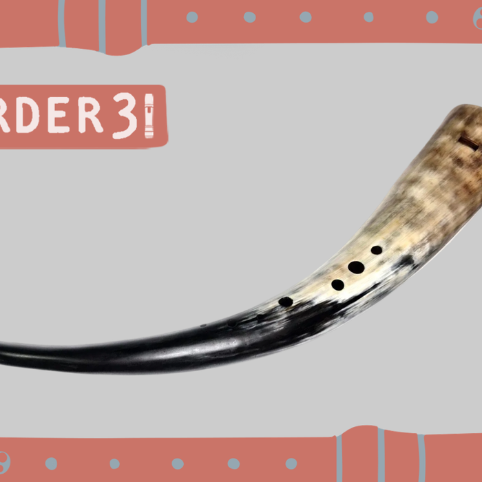 Recorder31 Day 19 | Introducing Svart Vaeren Gemshorns