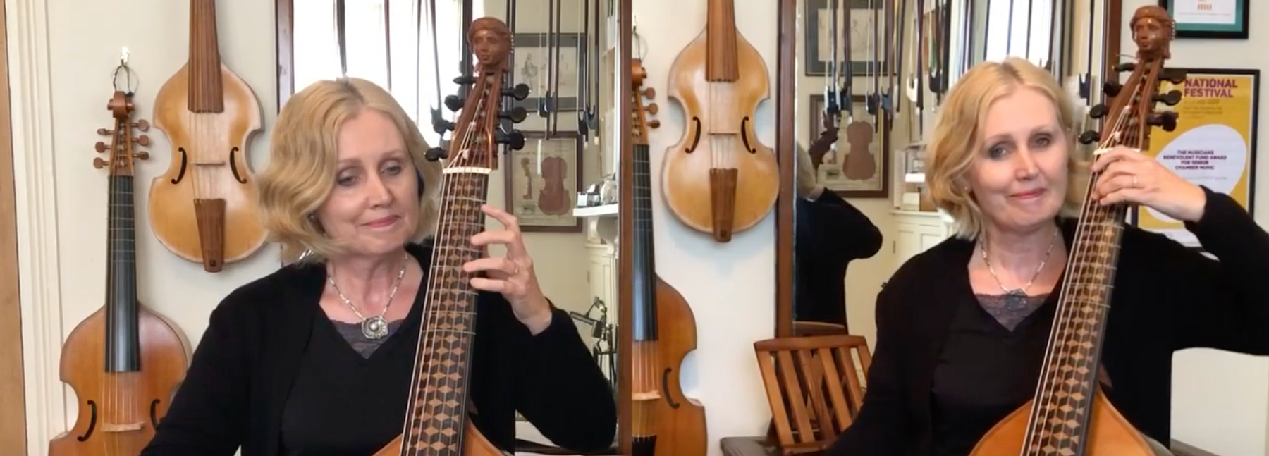 Which Viola da Gamba for you? A beginner's guide