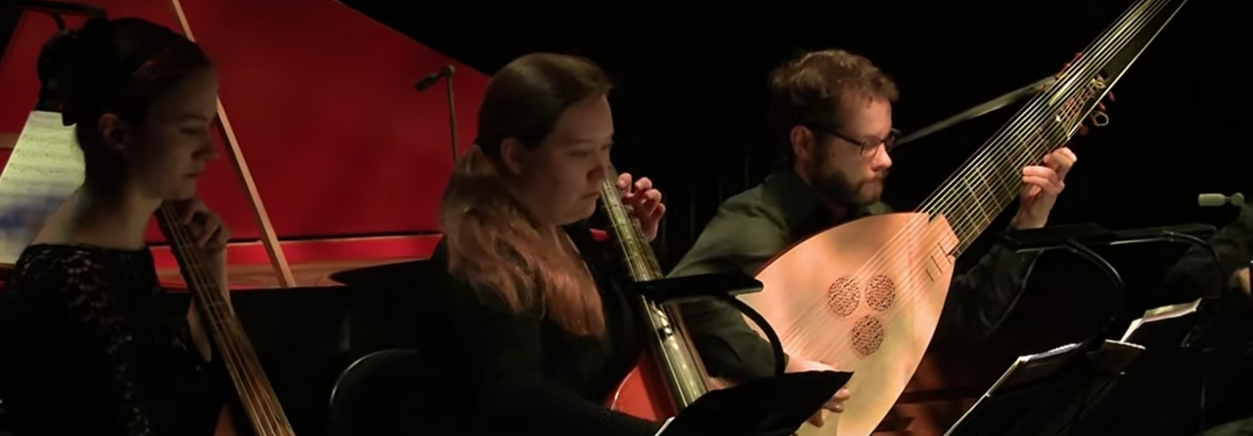 Lu-Mi Strings in Performance: 7-string Viola da Gamba