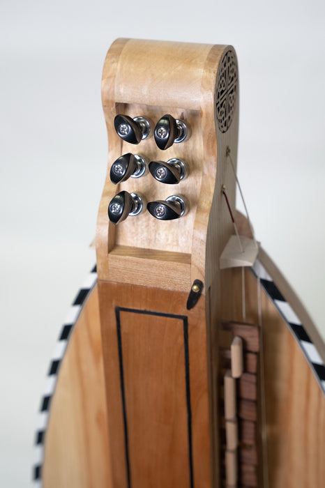Lute-Backed Hurdy Gurdy by John Verney