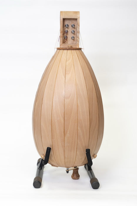 Lute-Backed Hurdy Gurdy by John Verney
