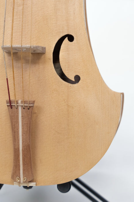 Medieval Fiddle by Fabio Chiari