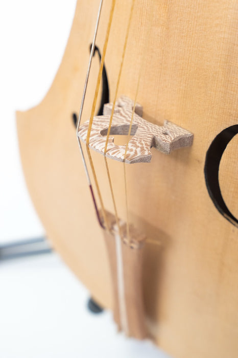 Medieval Fiddle by Fabio Chiari