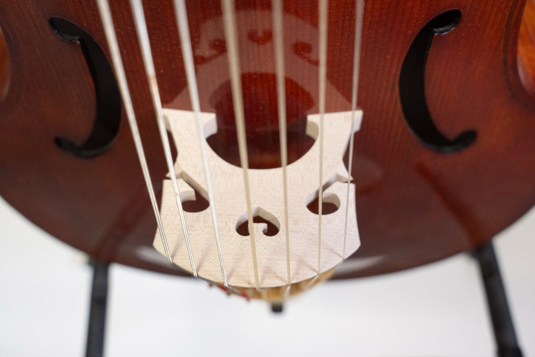 J. Wood 7 String Bass Viol after Nicholas Bertrand