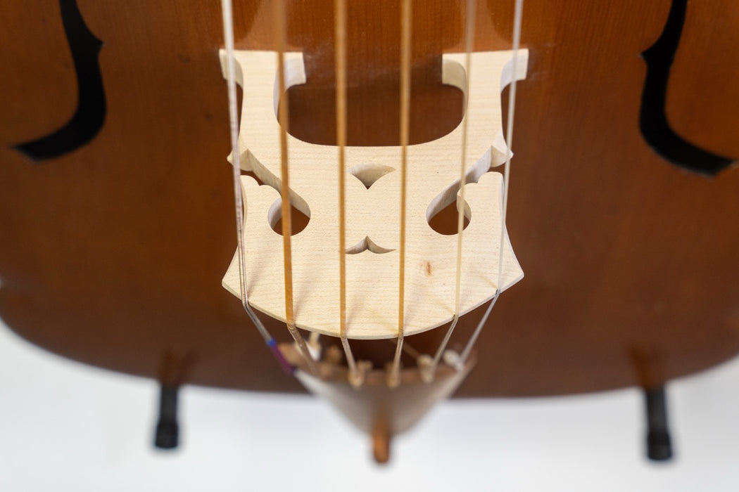 6 String Violone in G by David Holden (Reconditioned)