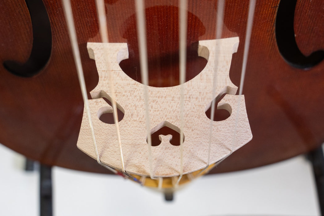 J. Wood 6 String Bass Viol after Barak Norman