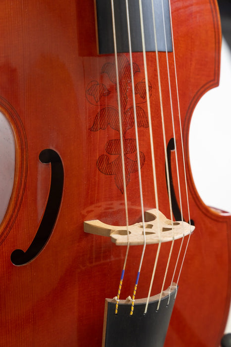 Lu-Mi Master Tenor Viol after Jaye