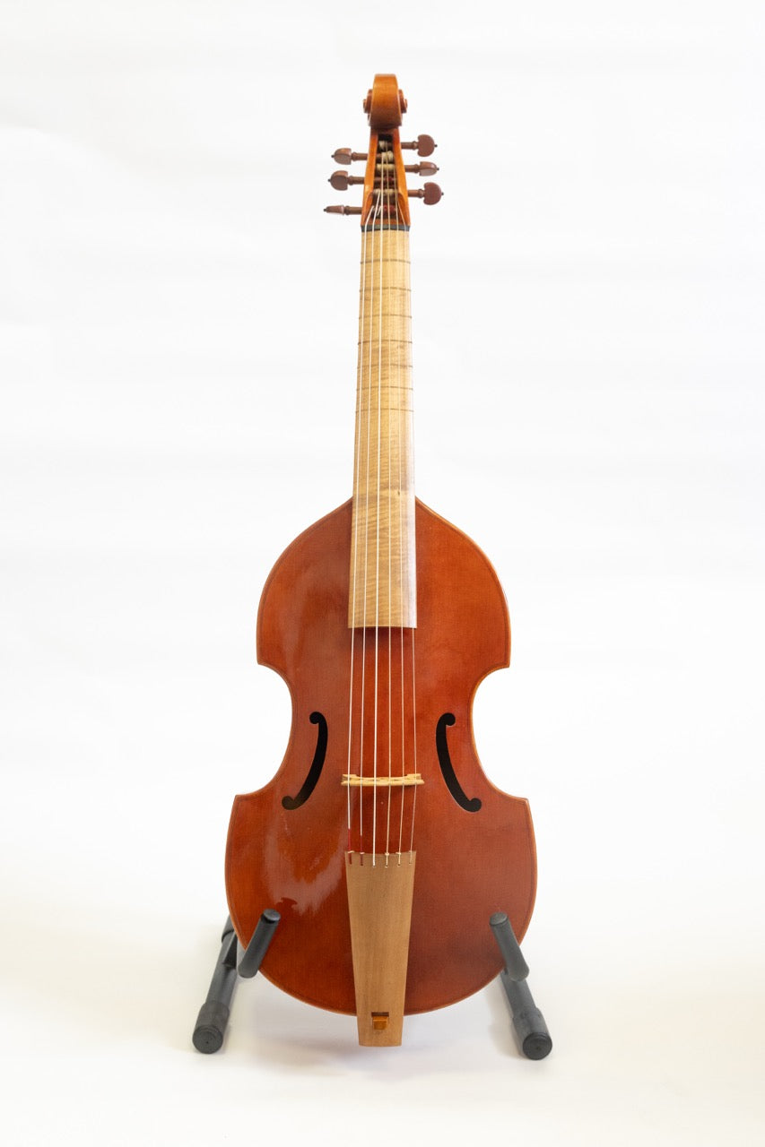Viola da Gambas (Viols) & Violones