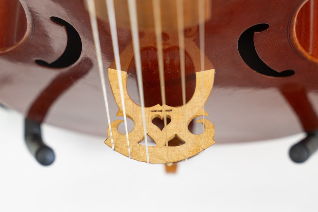 Lu-Mi Standard Tenor Viol after Jaye