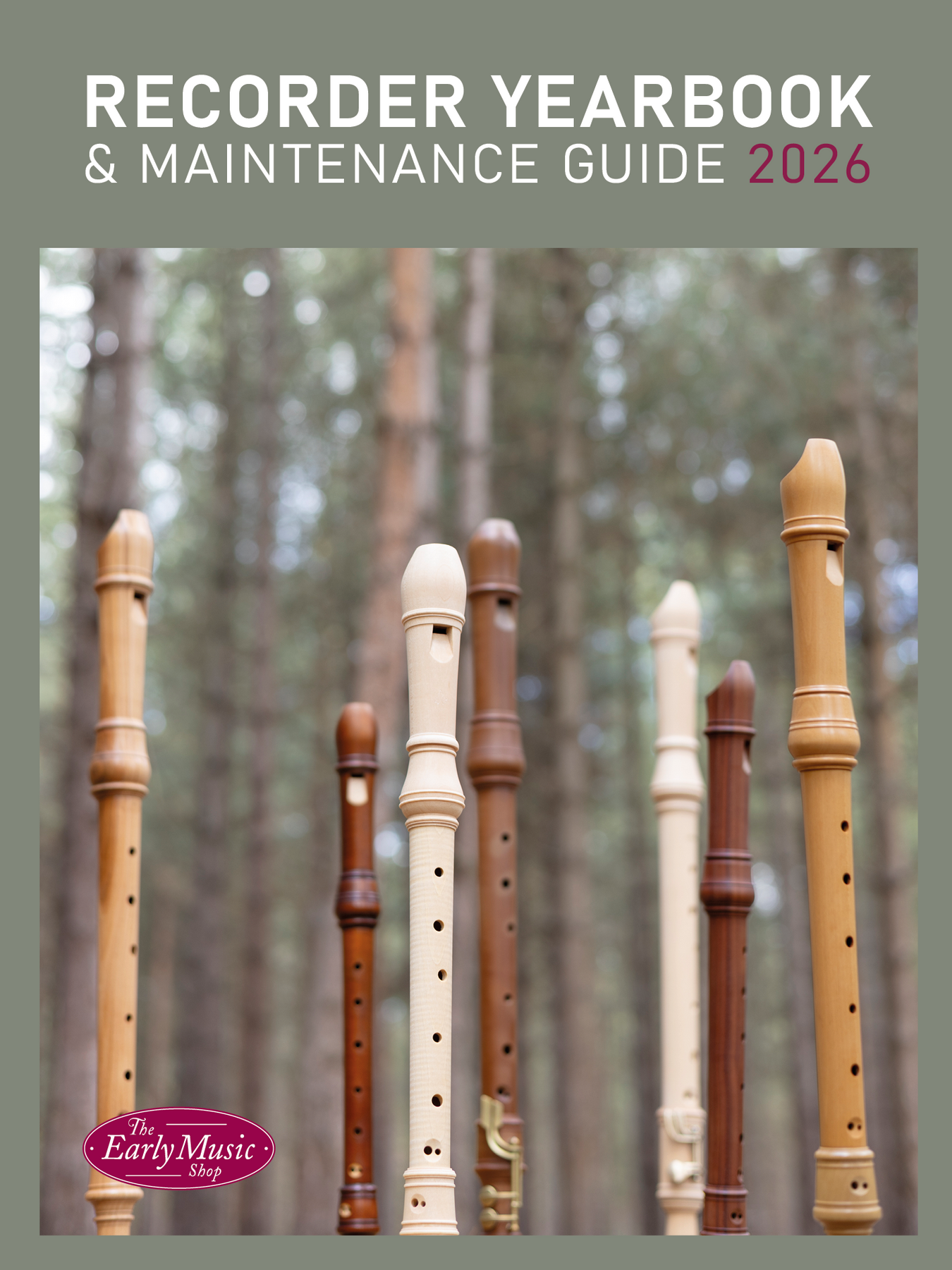 Recorder Accessories