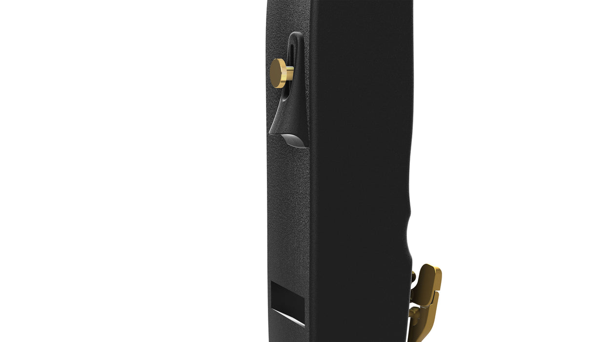 Sigo Bass Recorder by Kunath