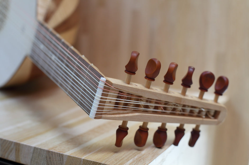 5 Course Medieval Lute by Alex Théo Nieto