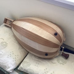 Lute-Backed Hurdy Gurdy by John Verney