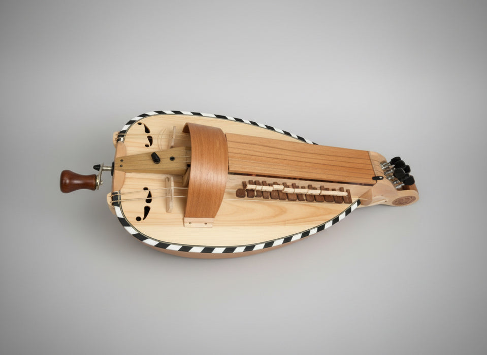 Lute-Backed Hurdy Gurdy by John Verney