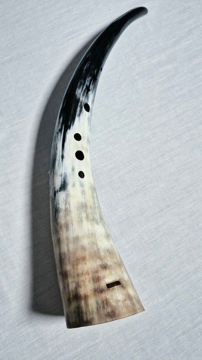 Bass Gemshorn by Svart Vaeren