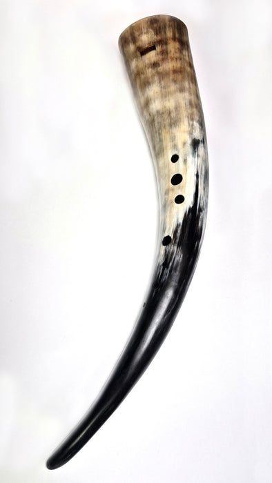 Bass Gemshorn by Svart Vaeren