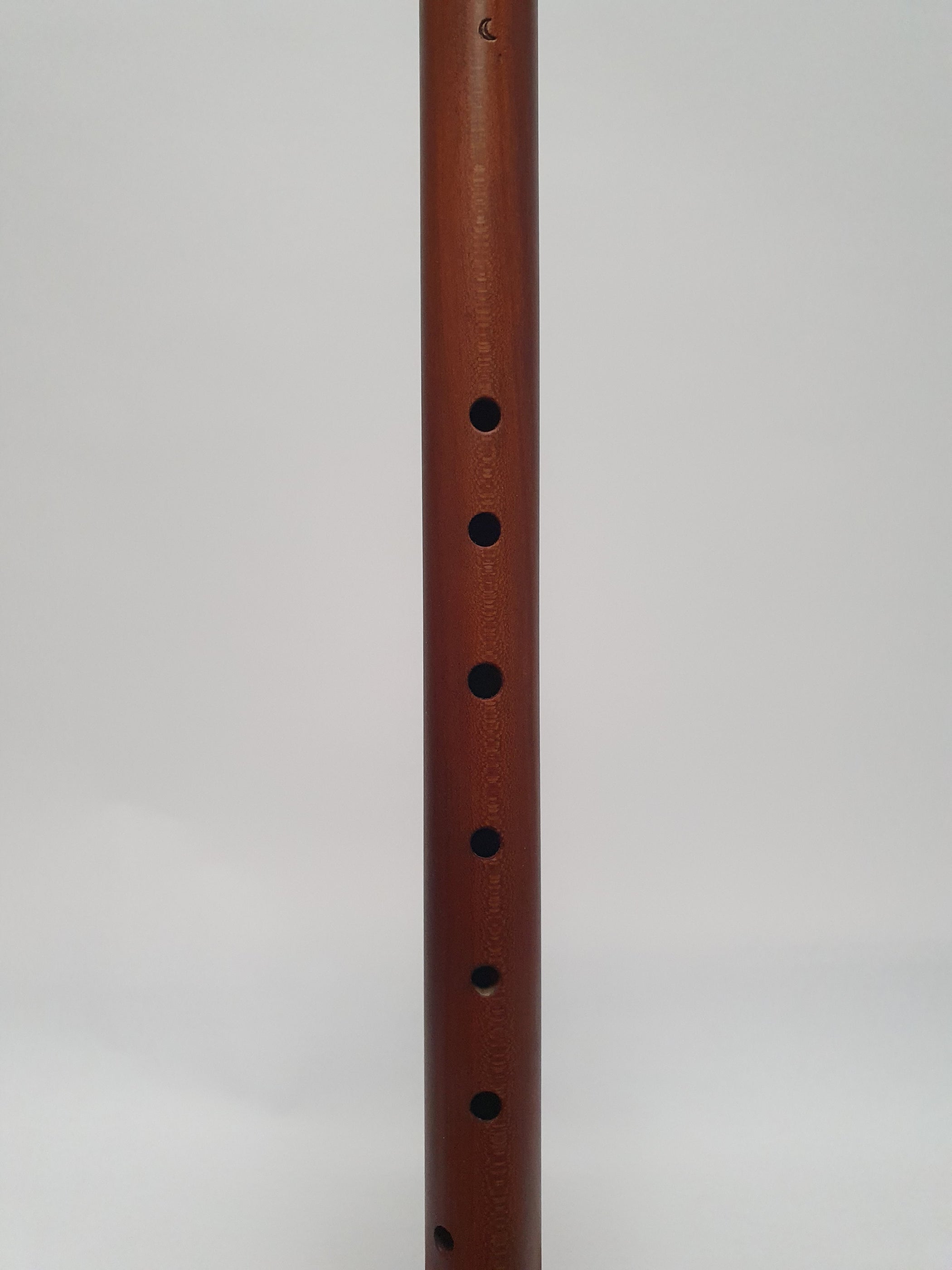 Adrian Rafi Tenor Recorder after Rafi in Plumwood by Adrian Brown (Reconditioned)