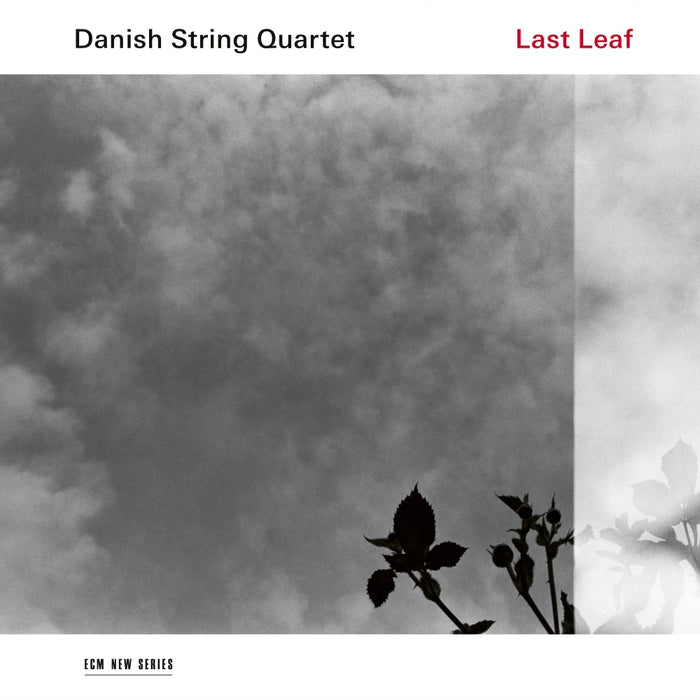 Danish String Quartet • Last Leaf (CD)