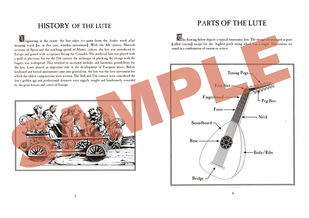 Learning to Play the Lute (Frank DeGroodt)