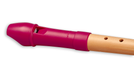 Mollenhauer Fipple Soprano Recorder in Plastic & Maple (Berry)