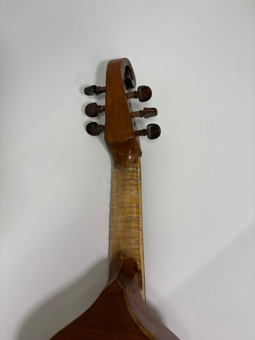 Ceske Treble Viol after Jaye with Padded Case and Bow (Reconditioned)