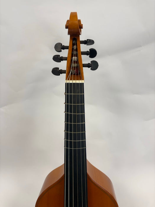 Michael Plant Tenor Viol with Padded Case (Reconditioned)