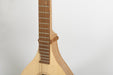 J. Wood 4-Course Renaissance Cittern