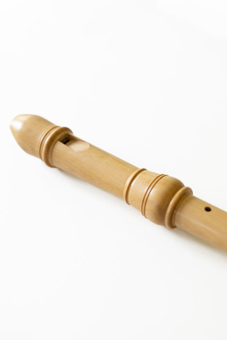 Aura Conservatorium Alto Recorder in Boxwood