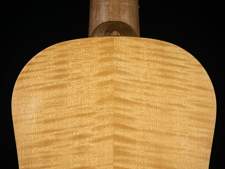 Vihuela by Marco Golinelli