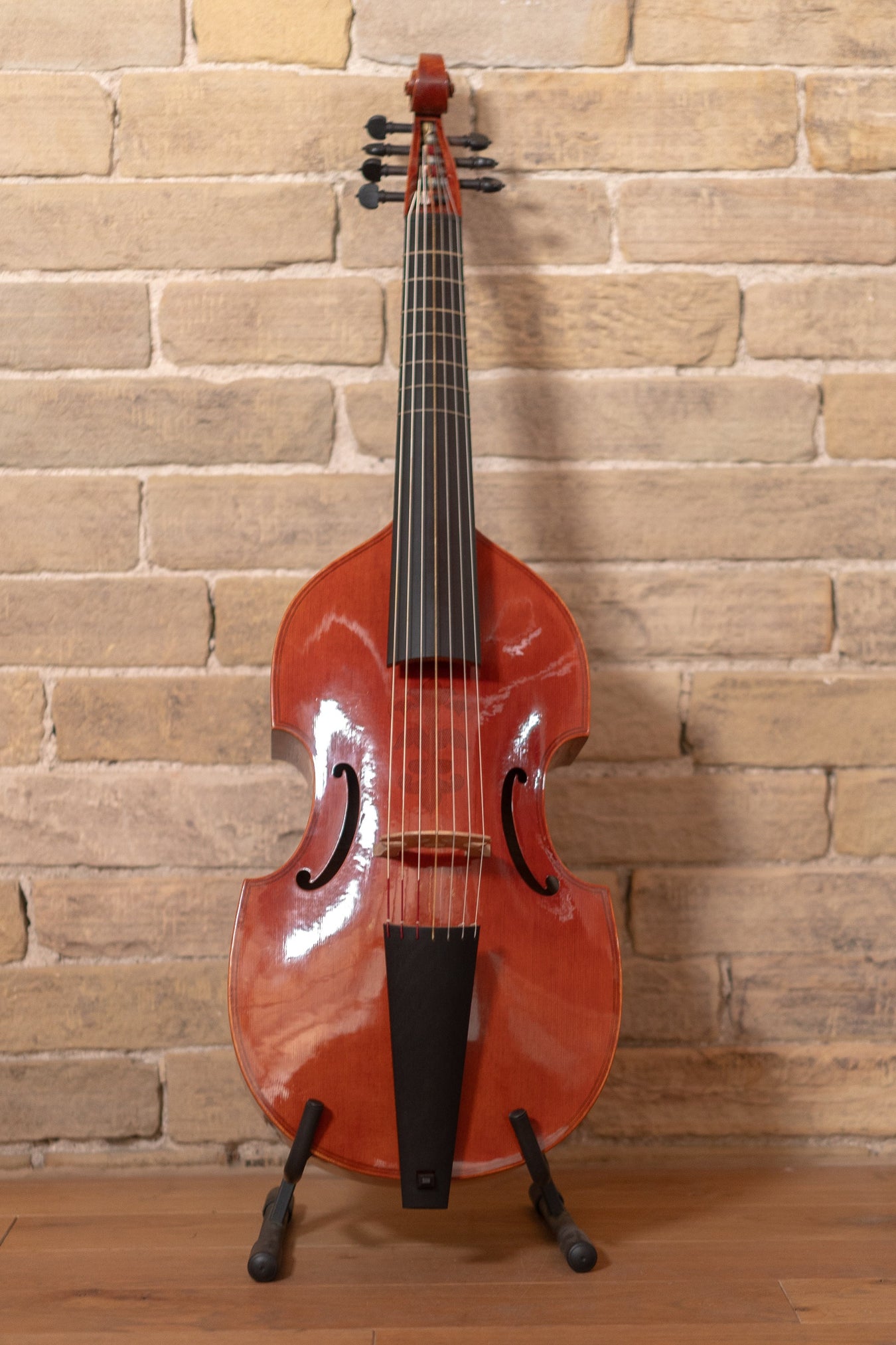 Viola da Gambas (Viols) & Violones