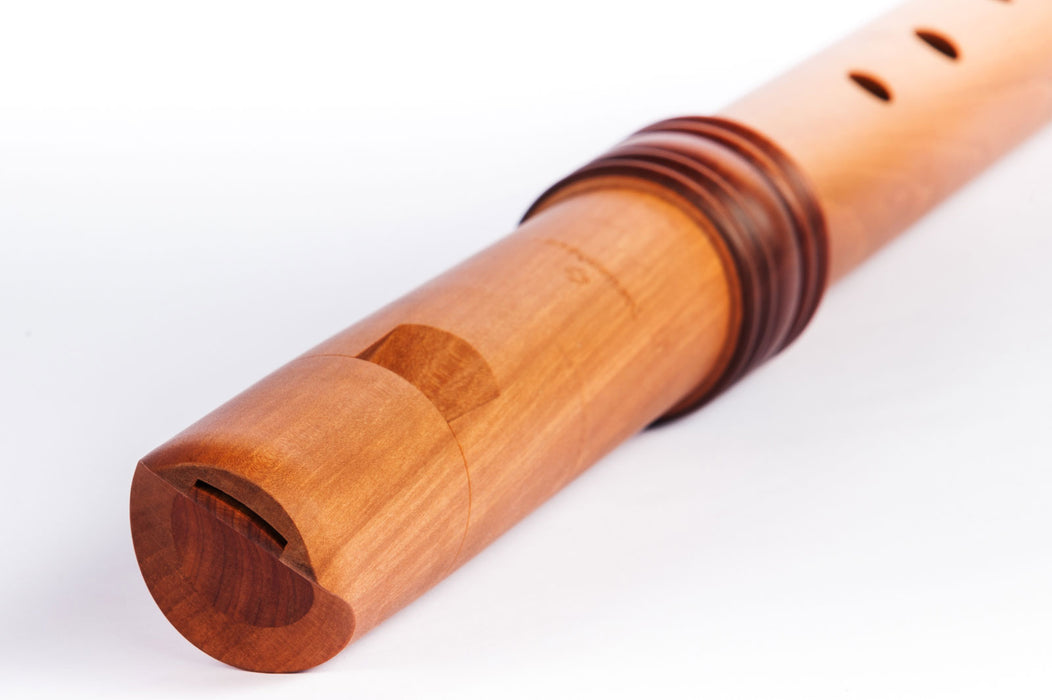 Mollenhauer Dream Tenor Recorder in Pearwood