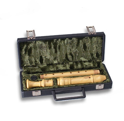 Mollenhauer Case for Alto recorder