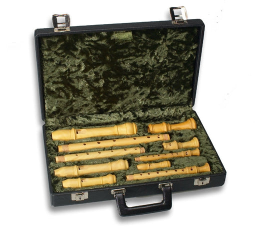 Mollenhauer Case for Sopranino-Tenor Recorders