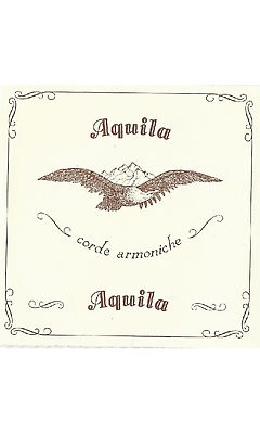 Aquila 91D Wound Lute String