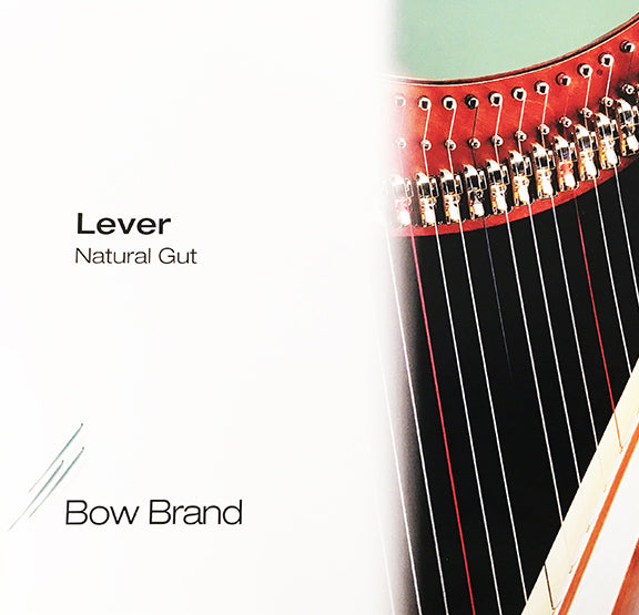 2nd Octave D - Lever Harp Gut String by Bow Brand