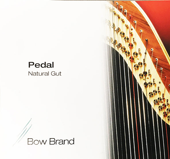 1st Octave B - Pedal Harp Gut String by Bow Brand