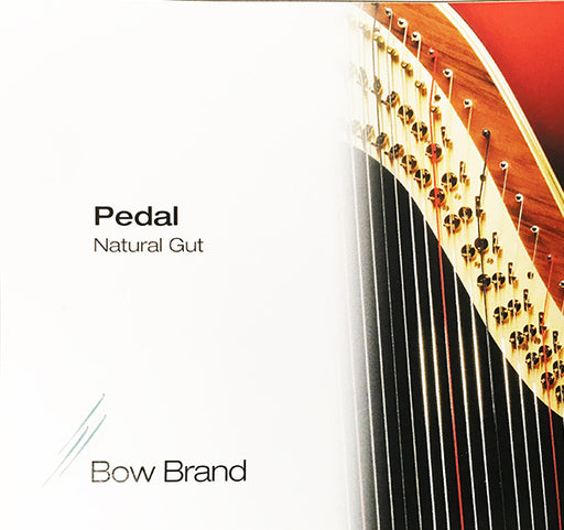 3rd Octave D - Pedal Harp Gut String by Bow Brand