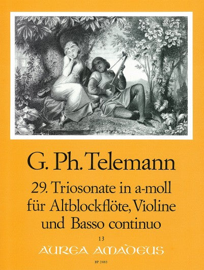 Telemann: Trio Sonata No. 29 in A Minor for Treble Recorder, Violin and Basso Continuo