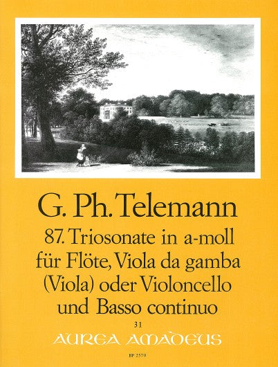 Telemann: Trio Sonata No. 87 in A Minor for Flute, Viola da Gamba and Basso Continuo