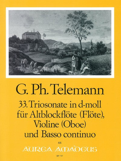 Telemann: Trio Sonata No. 33 in D Minor for Treble Recorder, Violin and Basso Continuo