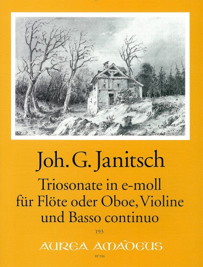 Janitsch: Trio Sonata in E Minor for Flute, Violin and Basso Continuo