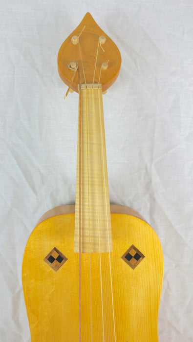 Marco Salerno 4 String Medieval Fiddle - Strasbourg model