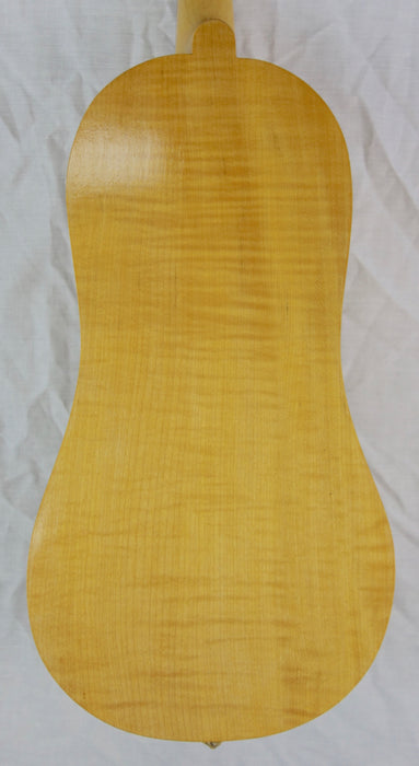 Salerno 4 String Medieval Fiddle