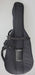 EMS Deluxe Bass Viol Soft Padded Case