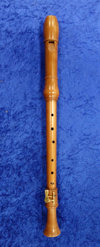 Dolmetsch Academy Tenor Recorder in Pearwood (Previously Owned)
