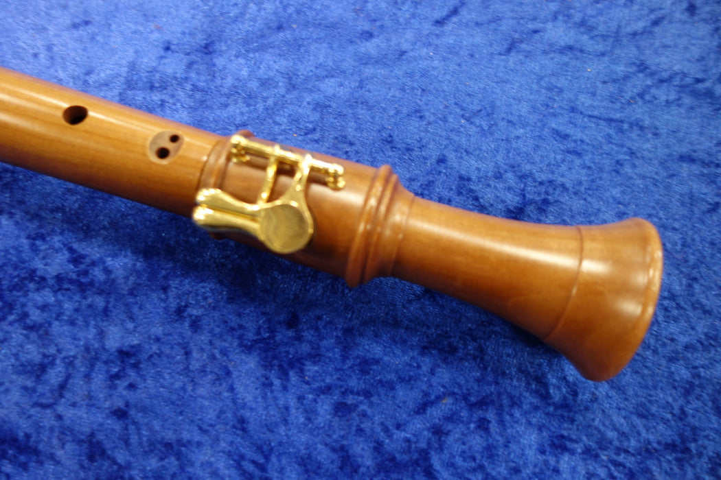 Dolmetsch Academy Tenor Recorder in Pearwood (Previously Owned)
