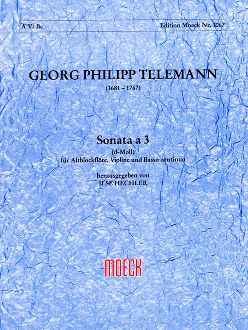 Telemann: Trio Sonata in D Minor for Treble Recorder, Violin and Basso Continuo