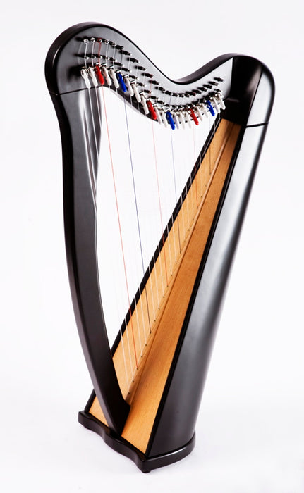 EMS Heritage 22 String Lever Harp in Black