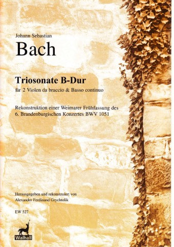 Bach: Trio Sonata in B Flat Major for 2 Violas da Braccio and Basso Continuo (after Brandenburg Concerto No. 6)